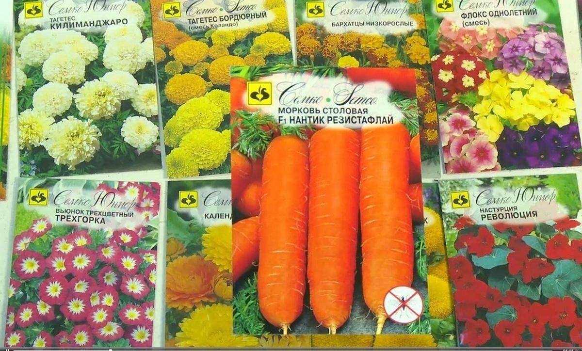 Семена Семко Купить В Интернет