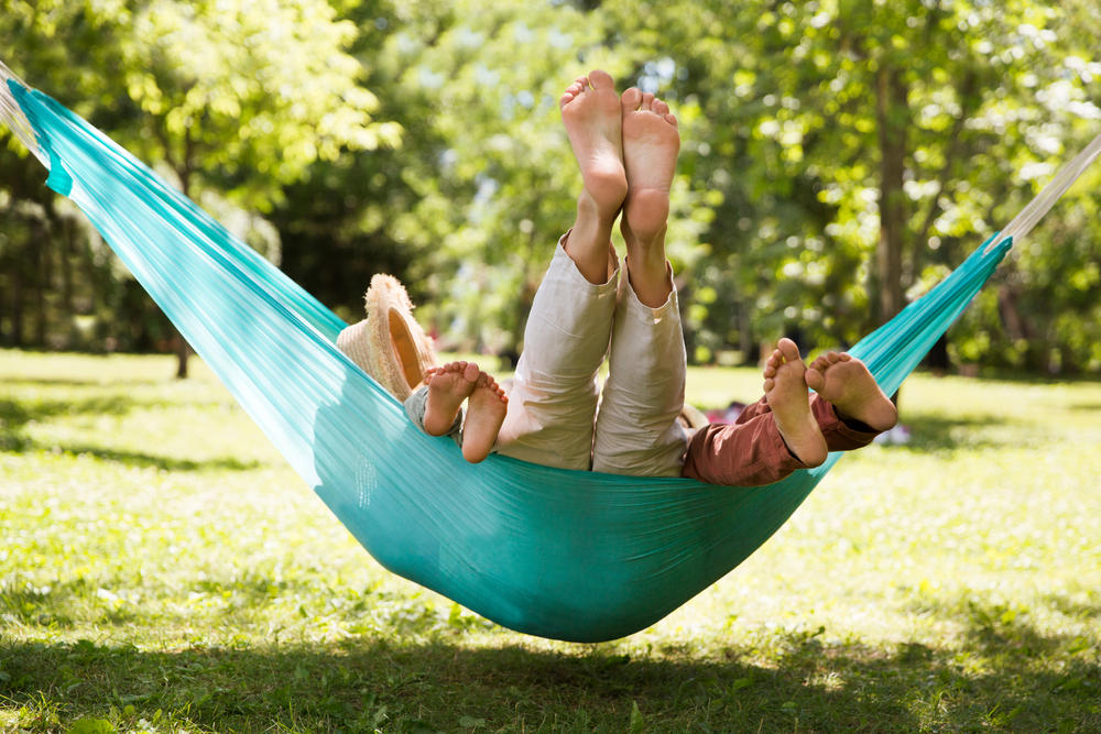 Отдыхают все!