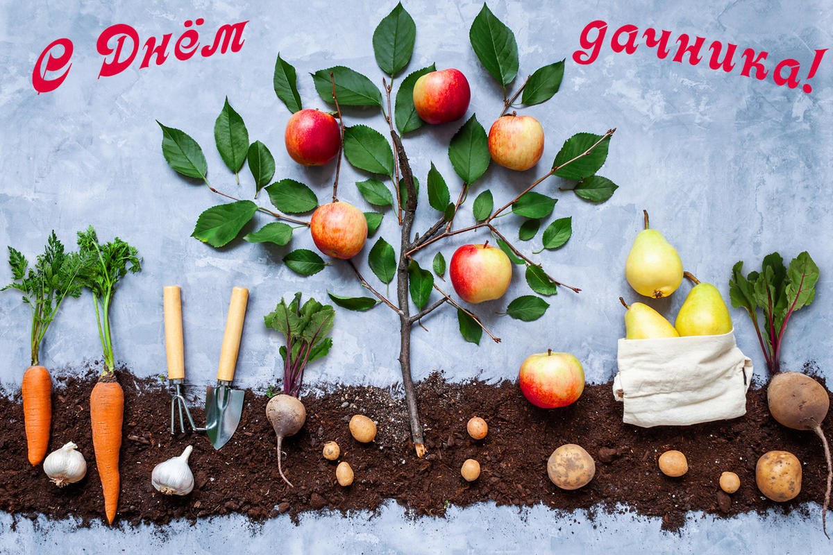 С Днём дачника!