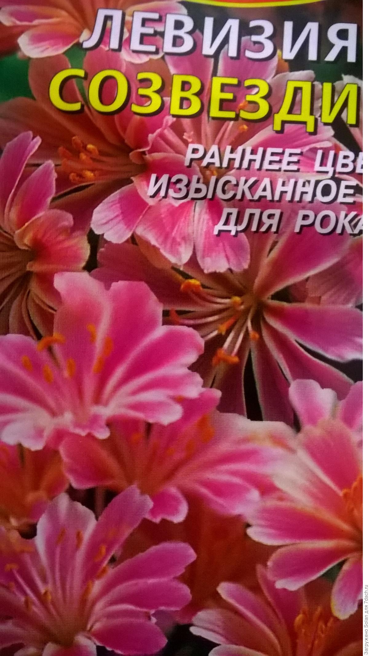Ливезия