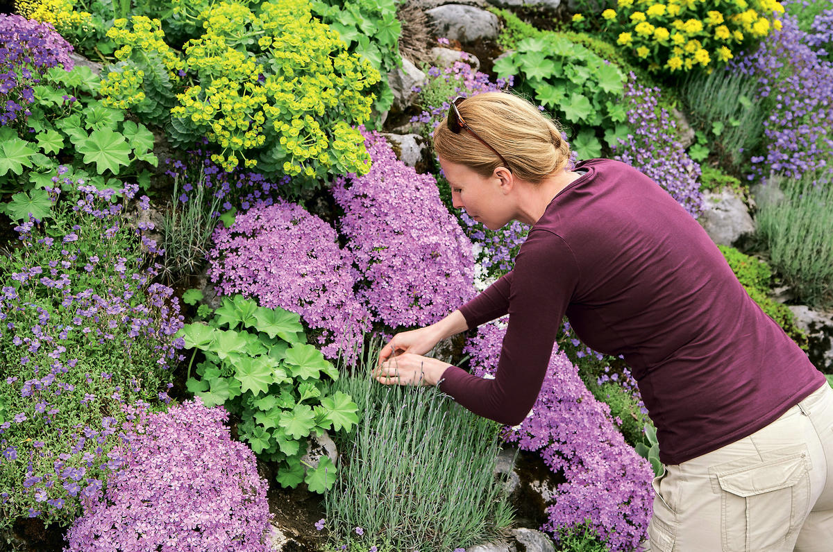 Понять собирать. Гармония растения. Picking and growing Flowers.