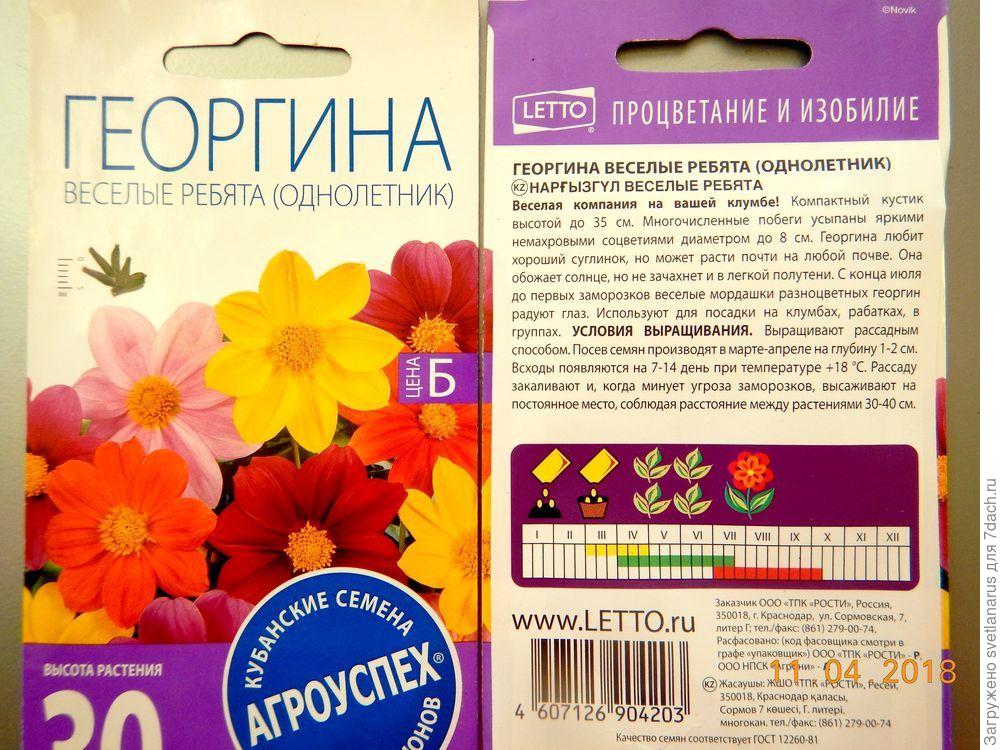 Георгин веселые ребята схема посадки