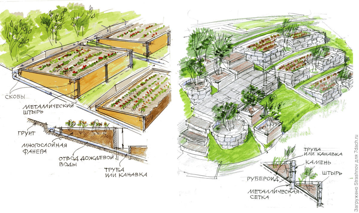 Проект огорода и грядок схематично