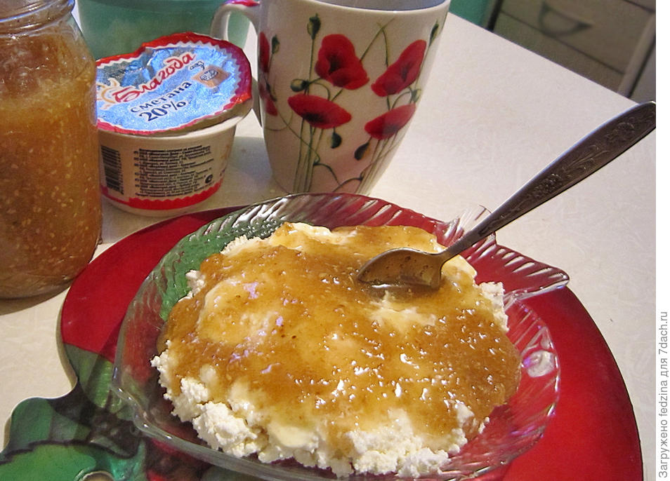 Малина Абрикосовая. Описание сорта, выращивание. Фото