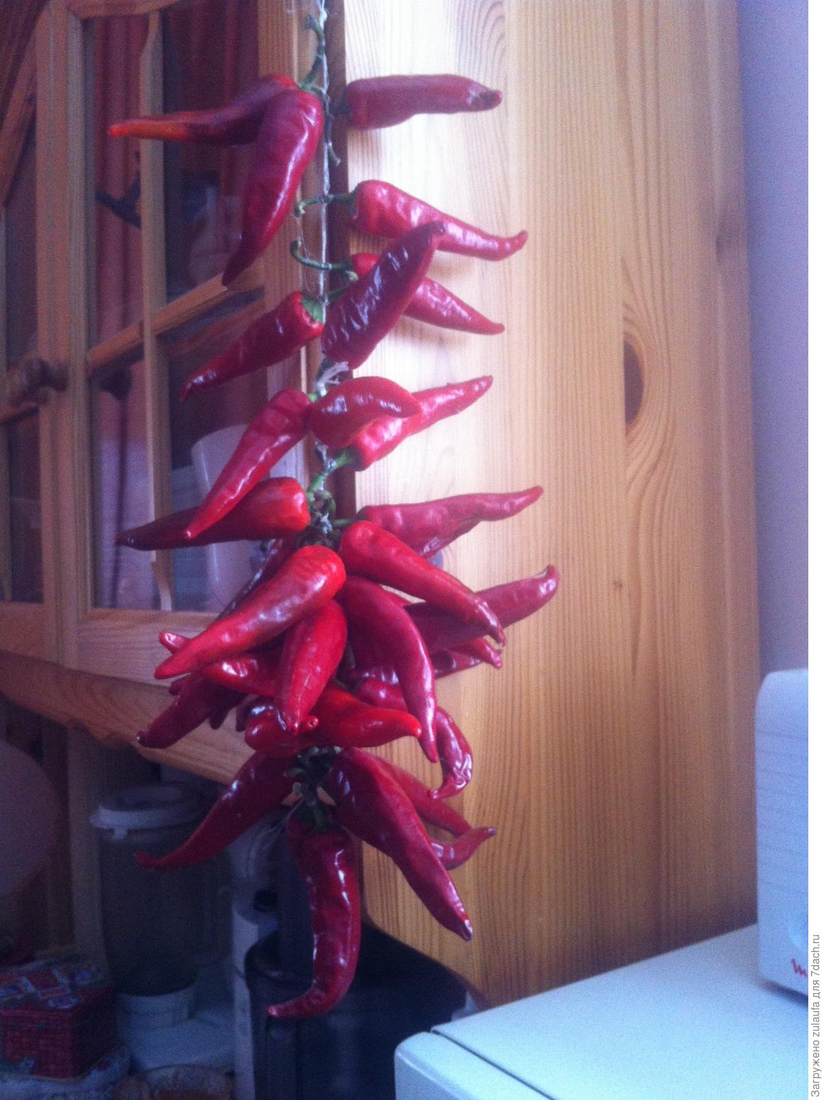 Перец закусочный “De María” – в сладком маринаде