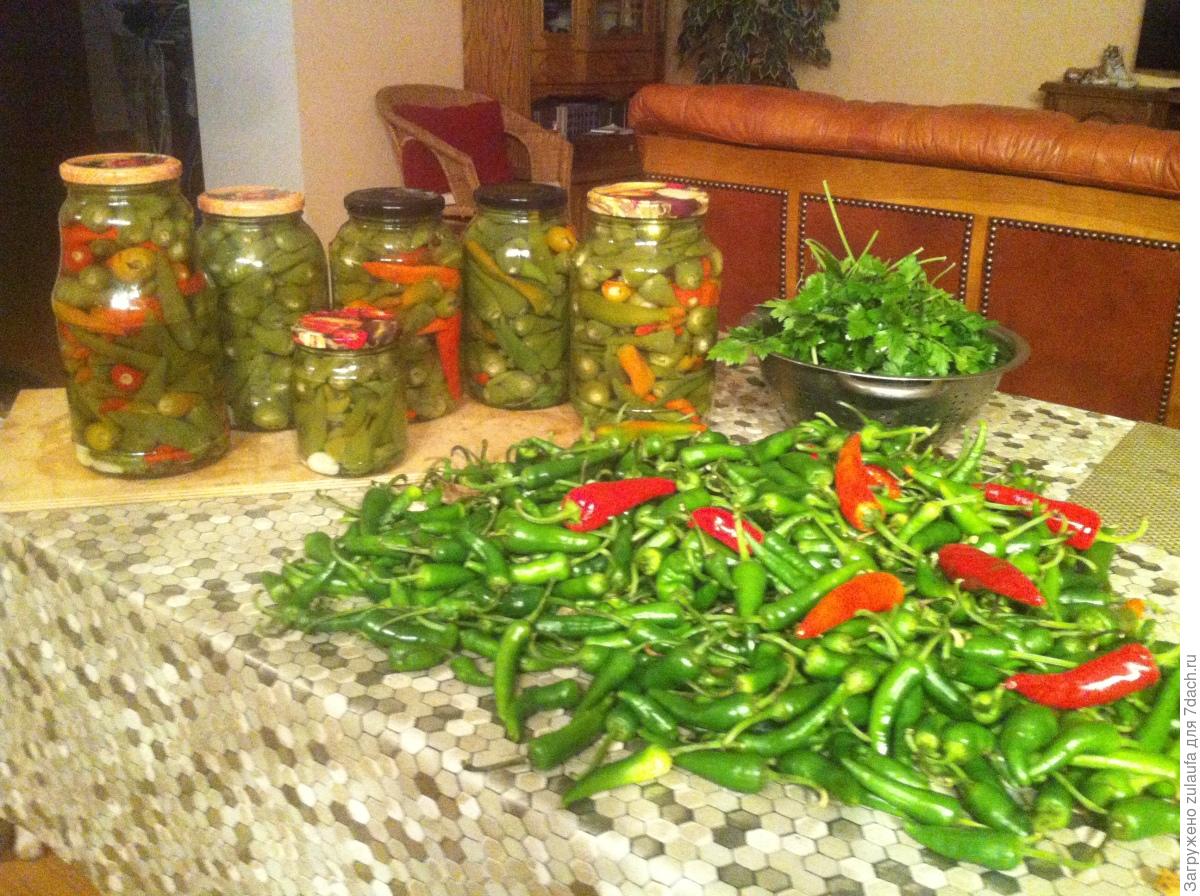 Перец закусочный “De María” – в сладком маринаде