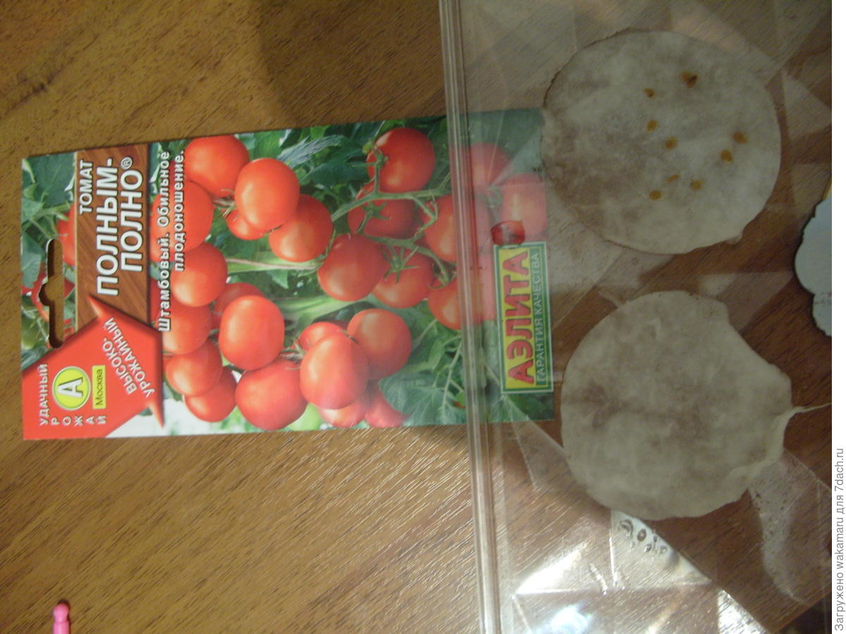 Сорт томатов полным полно отзывы. Сорт помидор полным полно. Помидоры полным-полно описание сорта.