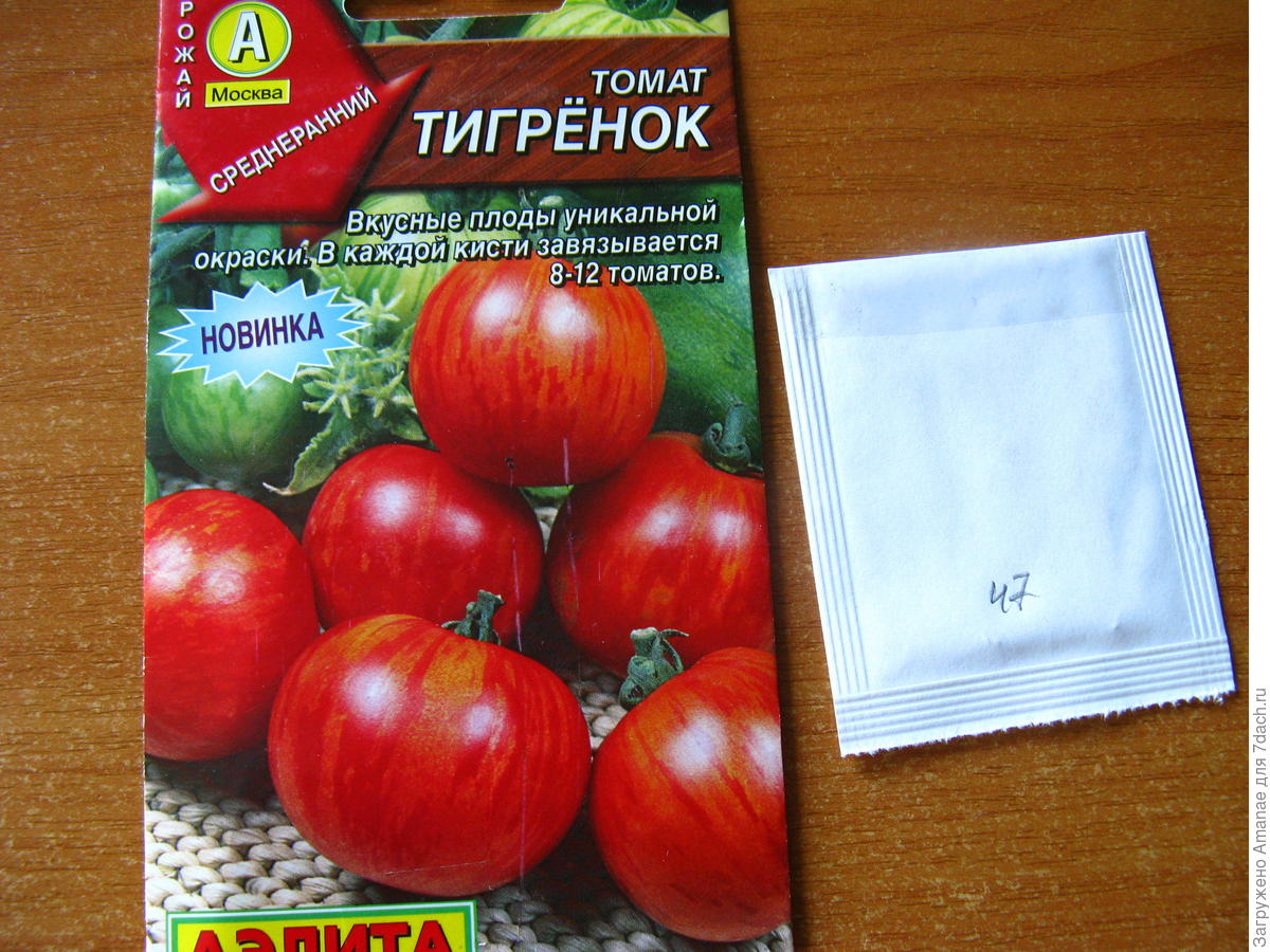 Томат тигренок фото. Семена томатов Тигренок. Тигренок сорт томатов. Томат Тигренок садок.