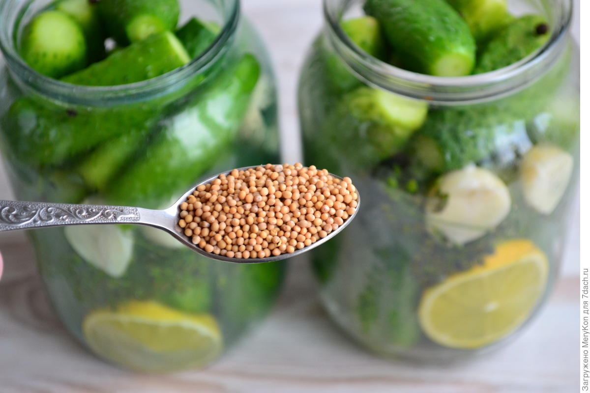 Надежный способ закатки огурцов