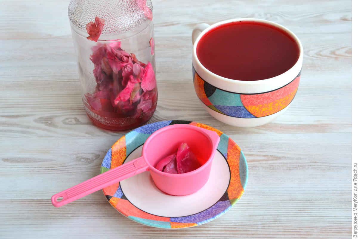 Заготавливаем чайную розу. Лепестки розы, перетертые с сахаром.