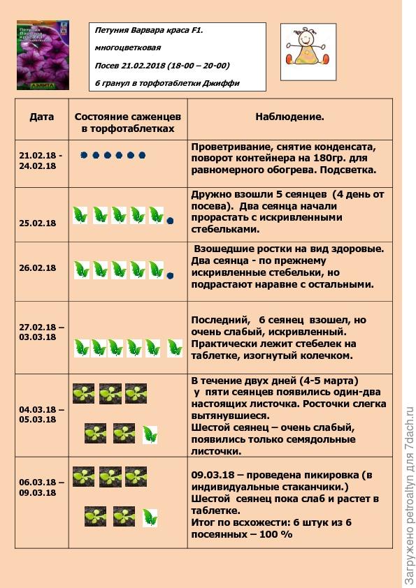 Схема посадки петуньи