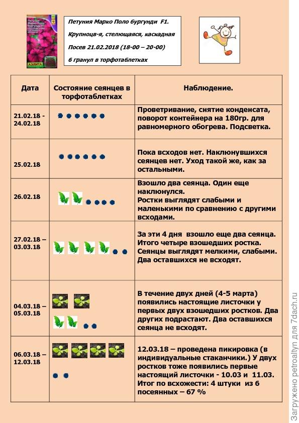 Схема посадки петунии