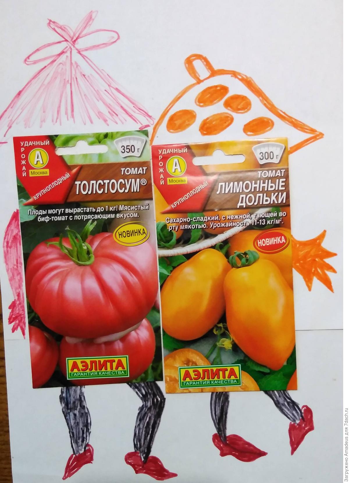 Томат Лимонный Отзывы Фото