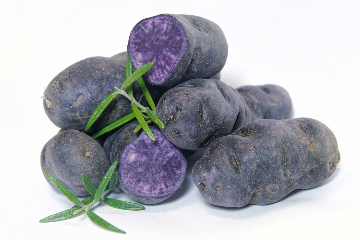 Картофель фиолетовый картинки