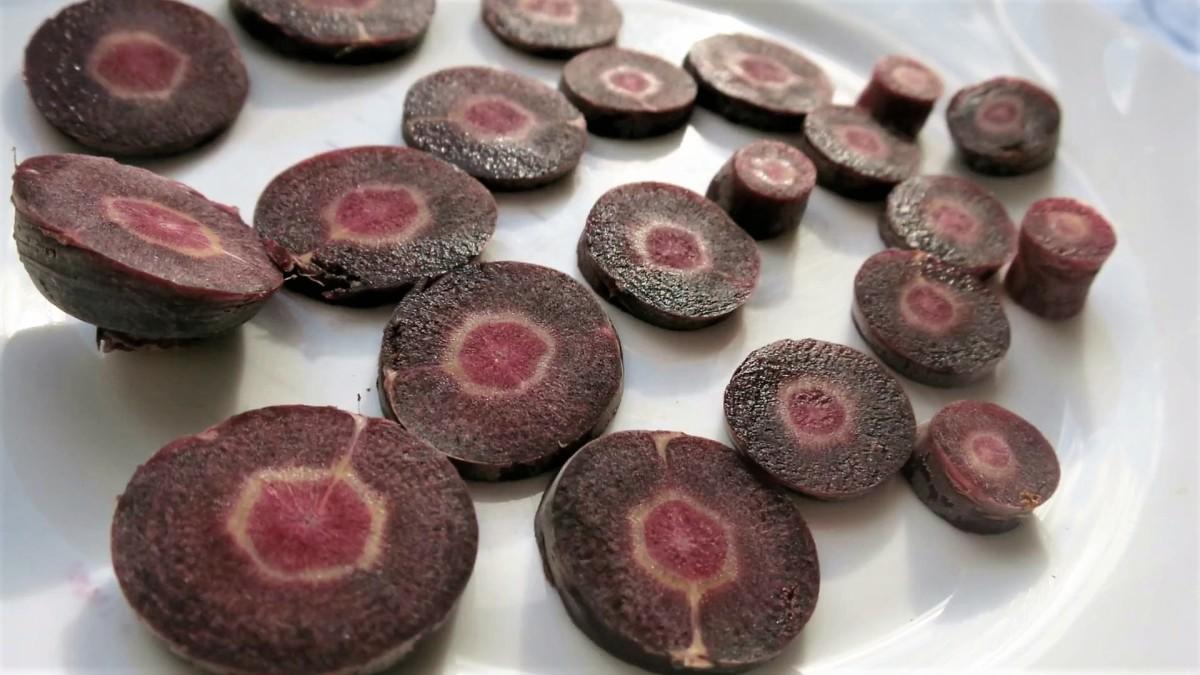 Фиолетовая морковь: личный опыт выращивания. Видео