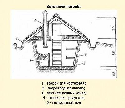 Размер полок в погребе для банок