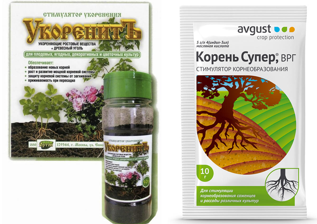 Стимуляторы роста корней: изучить и купить