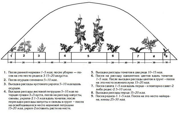 Теплица рисунок для детей