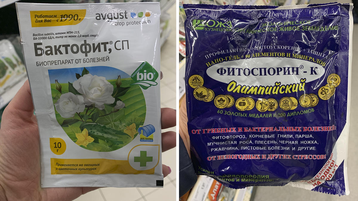 Биопрепараты для защиты растений: какие бывают и опыт применения