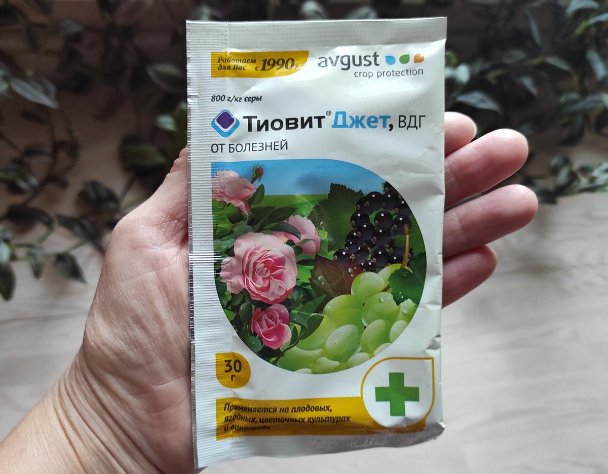 Как применяют серу для растений: коллоидная сера, удобрения и другое ...