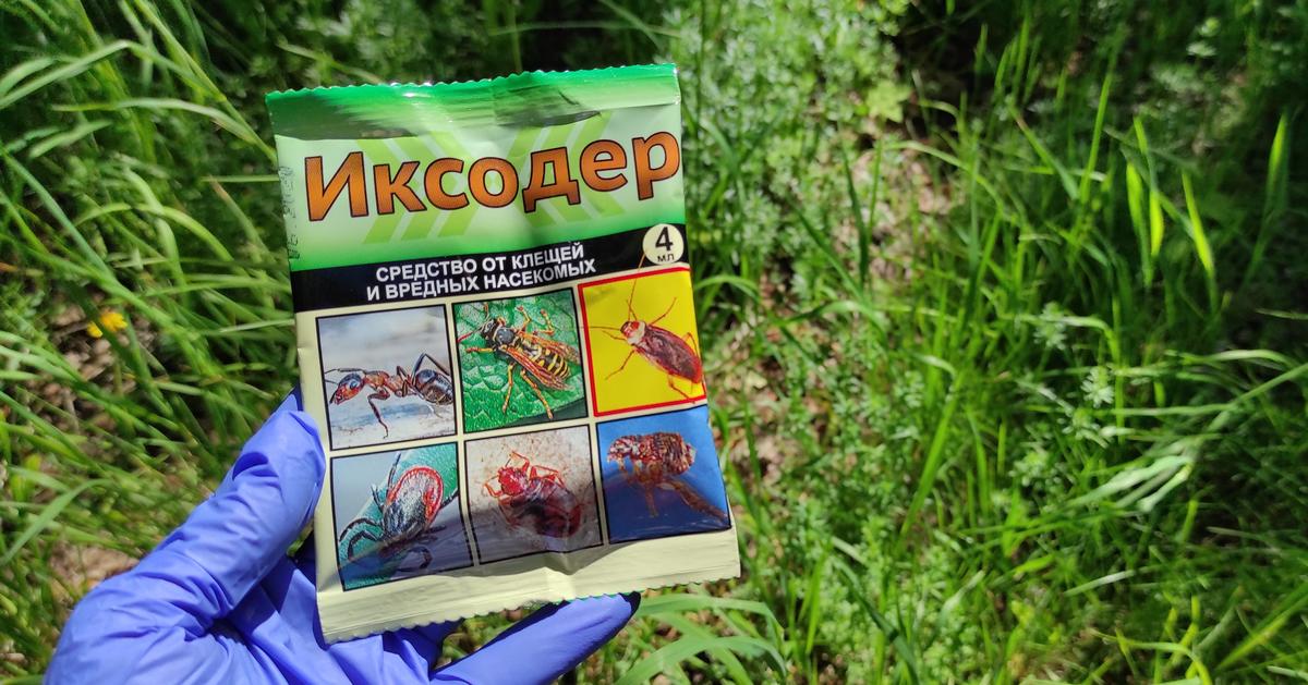 Обработка против клещей. Защита участка от клещей