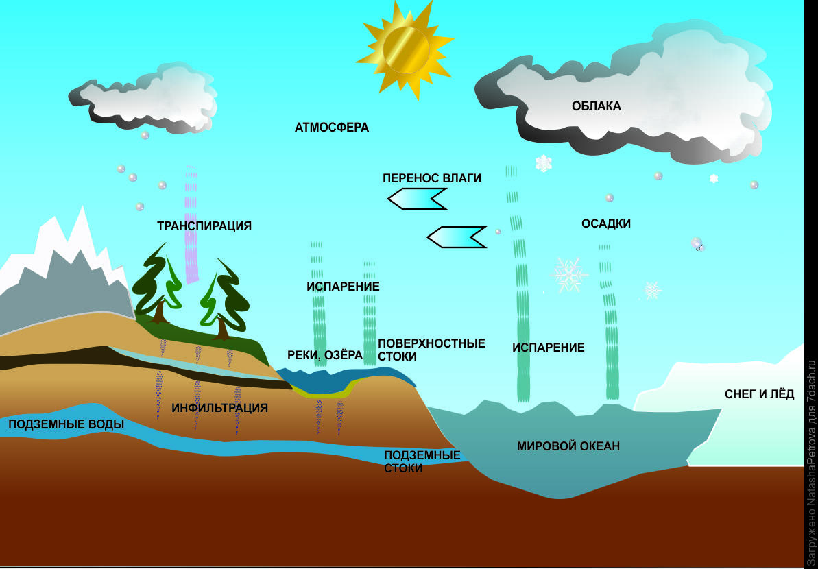 Какими буквами на схеме круговорота воды отмечены испарение перенос влаги осадки реки подземные воды