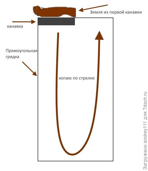 Где найти навоз и кувшинки вайм ворд