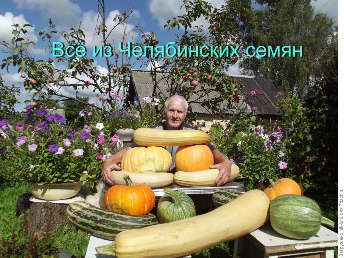 Нпо Сад И Огород Интернет Магазин