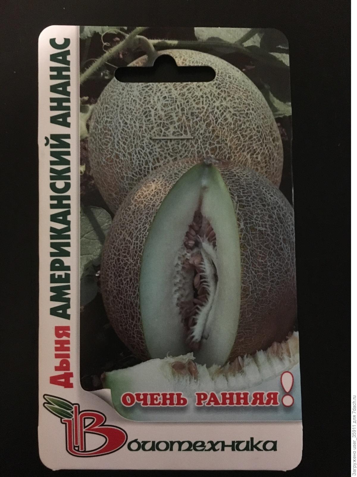 Вьетнамская Дыня Семена Купить Москва
