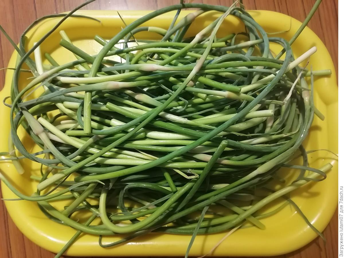 Стрелки чеснока маринованные