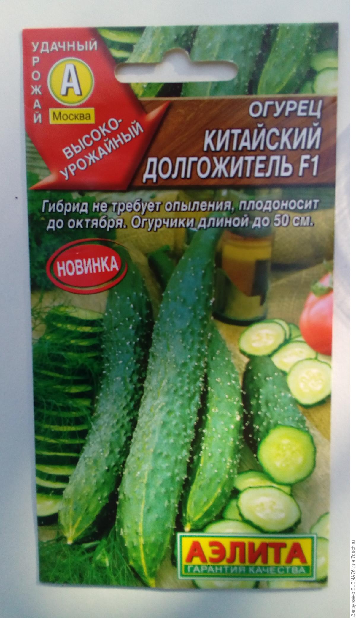Аэлита. Огурец китайский долгожитель