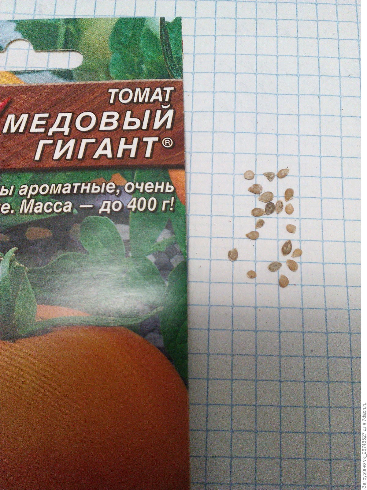 томаты медовая капля описание сорта фото отзывы