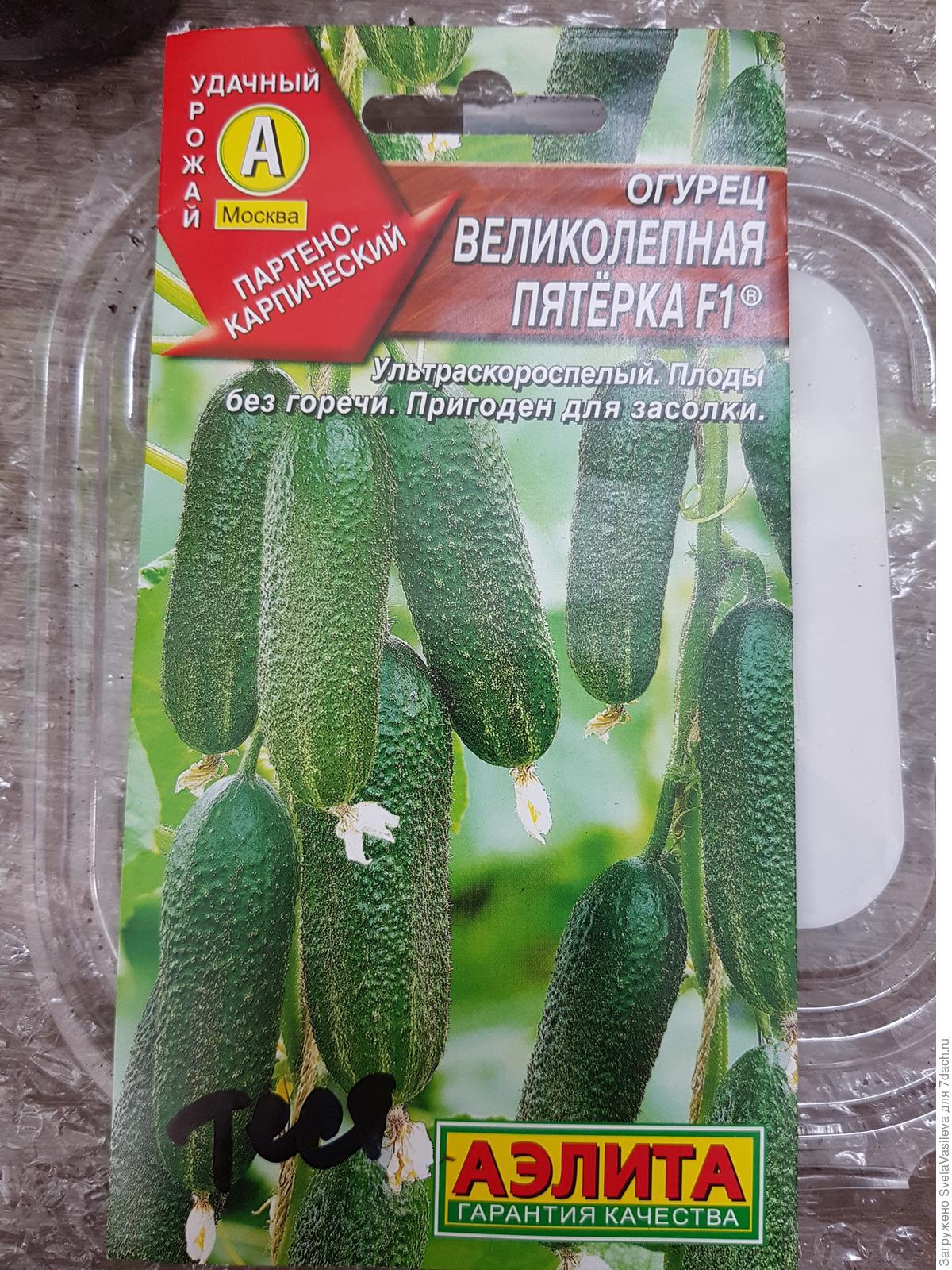 Семена огурец Великолепная пятерка F1 Аэлита 99262083 купить за 178 ₽ в интернет