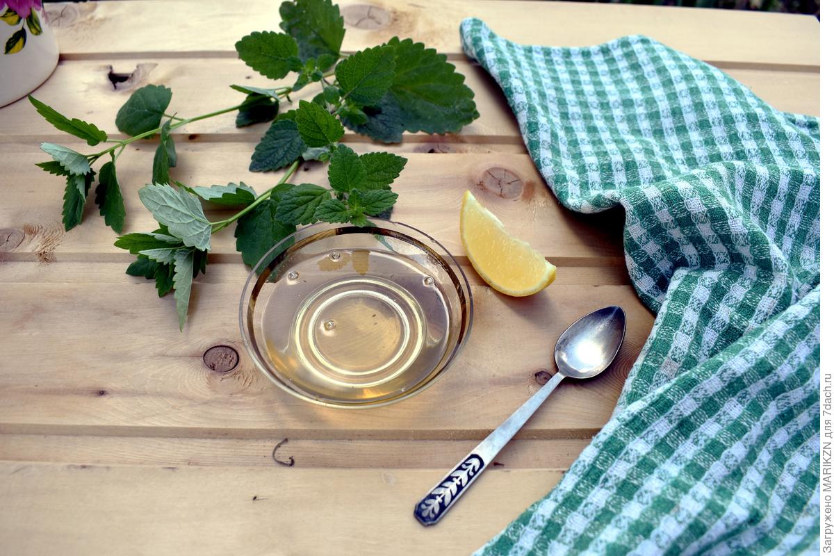 Мятный сироп на зиму