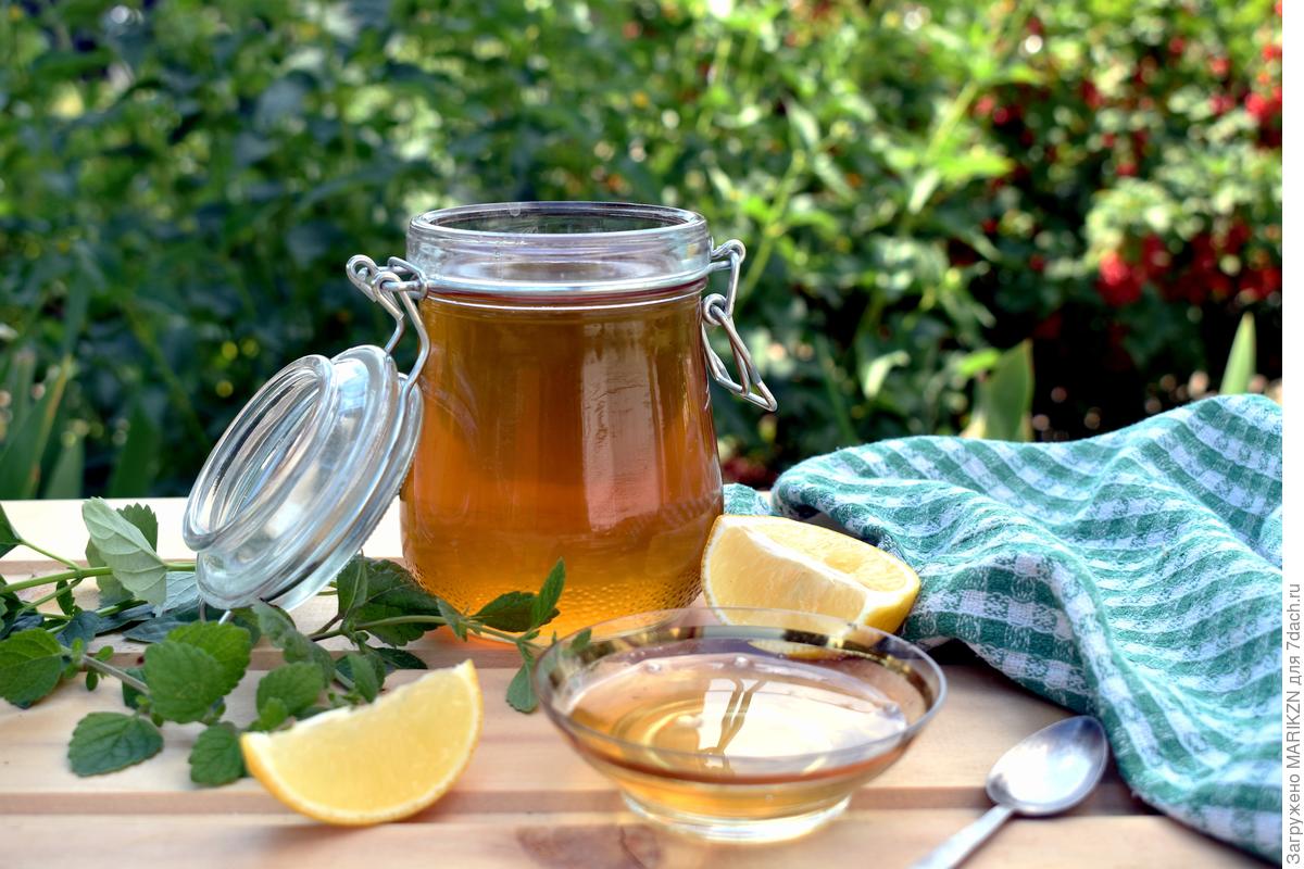 Мятный сироп на зиму