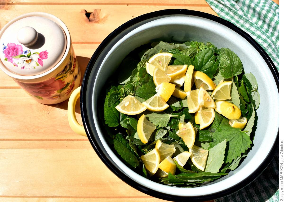 Мятный сироп на зиму