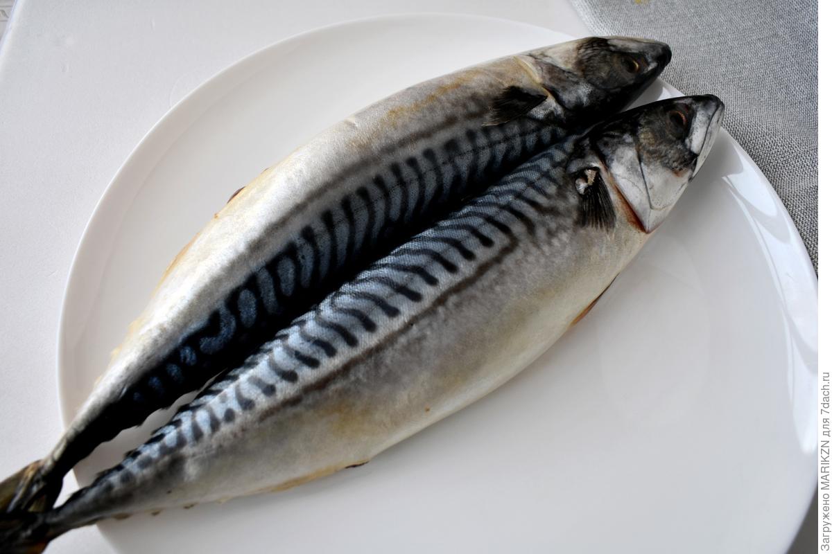 Запеченная скумбрия по рецепту Гордона Рамзи. Пошаговый рецепт с фото