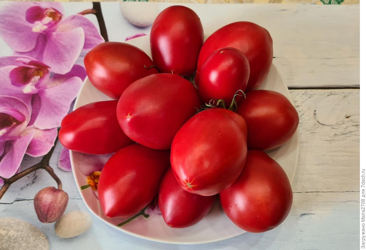 Де барао красный томат фото и описание
