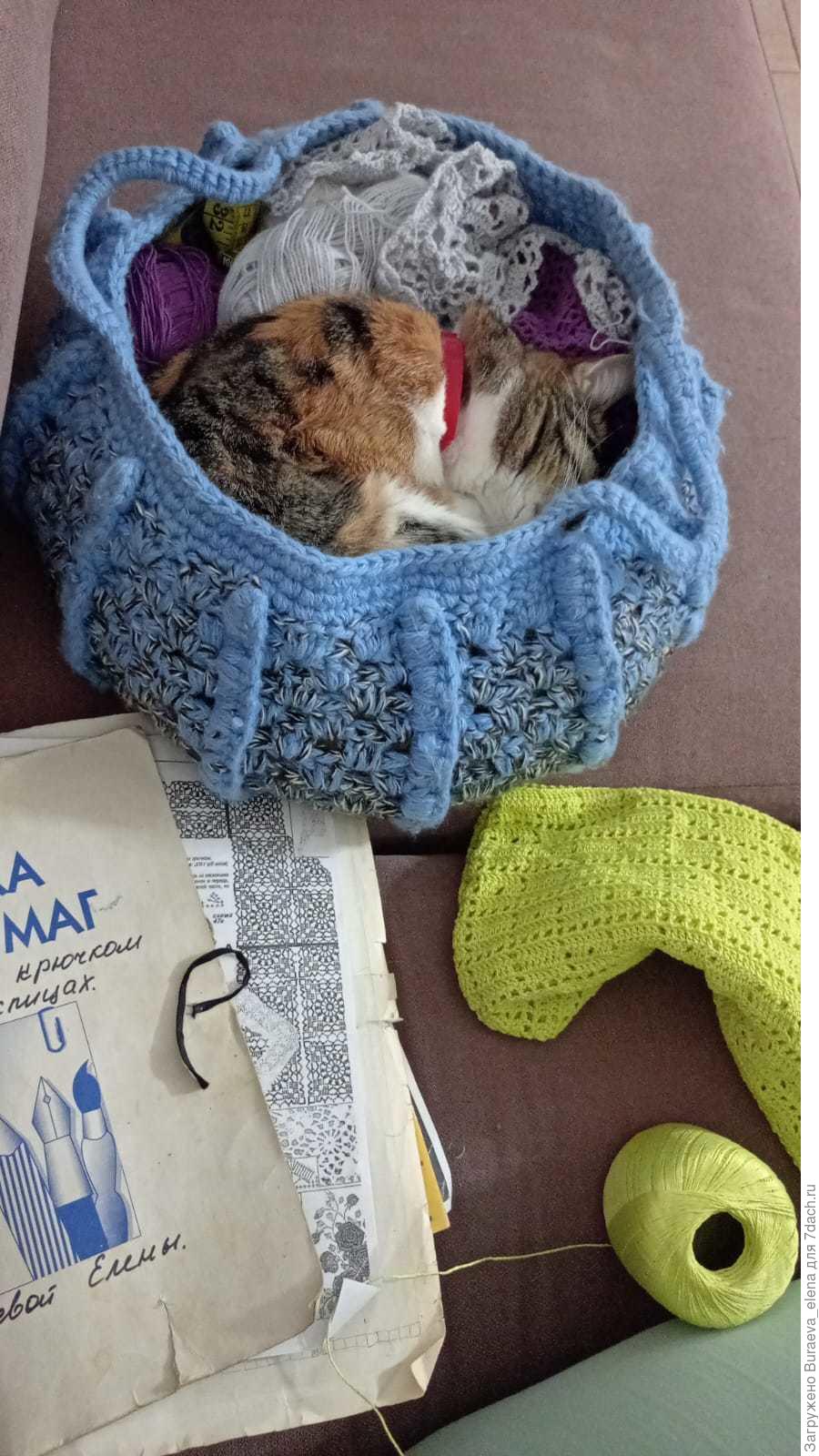 афоризмы про окончание рабочего дня. анекдоты про деньги. целый день была на работе. пойду на работу отдохну. не проснувшийся кот.