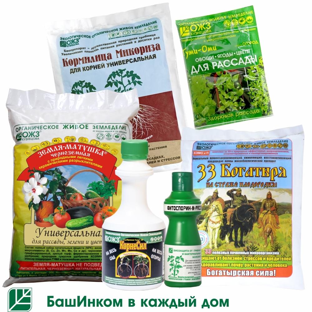 Как вырастить отличную рассаду без химии