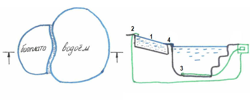 Схема пруда с биоплато с насосом