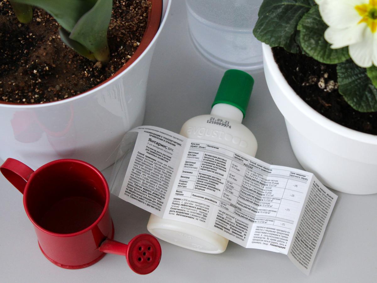 "Янтарин" — натуральный регулятор роста. Инструкция по применению