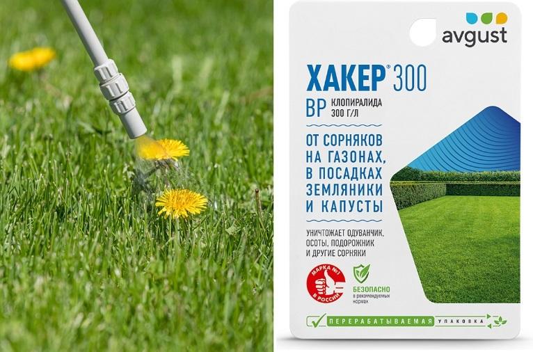 Борьба с сорняками: системный подход дает результат