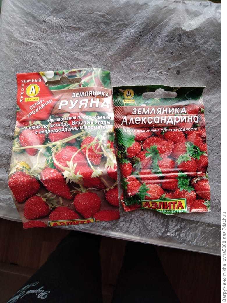 Купить Семена Клубники В Екатеринбурге