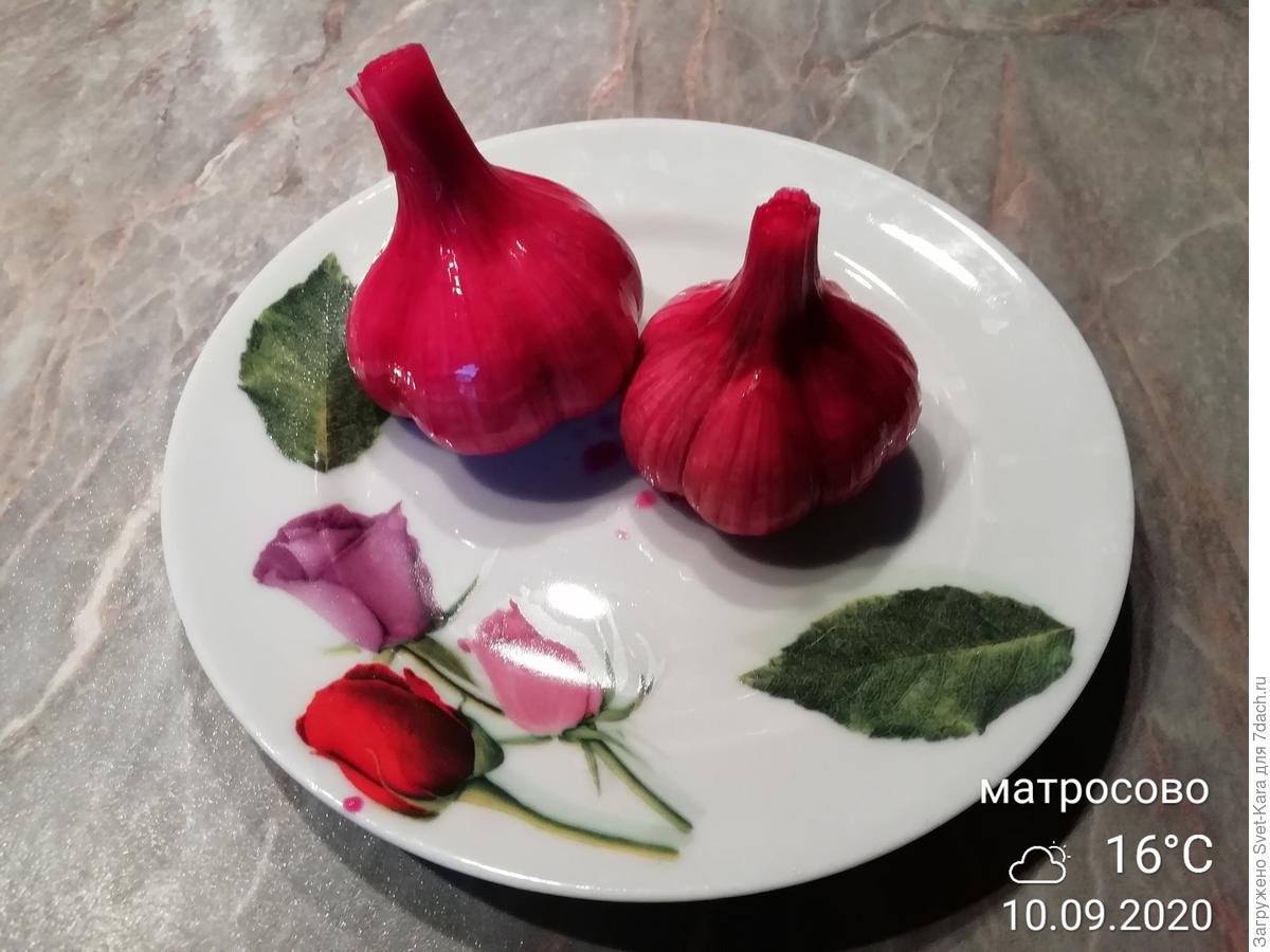Маринованный чеснок со свеклой