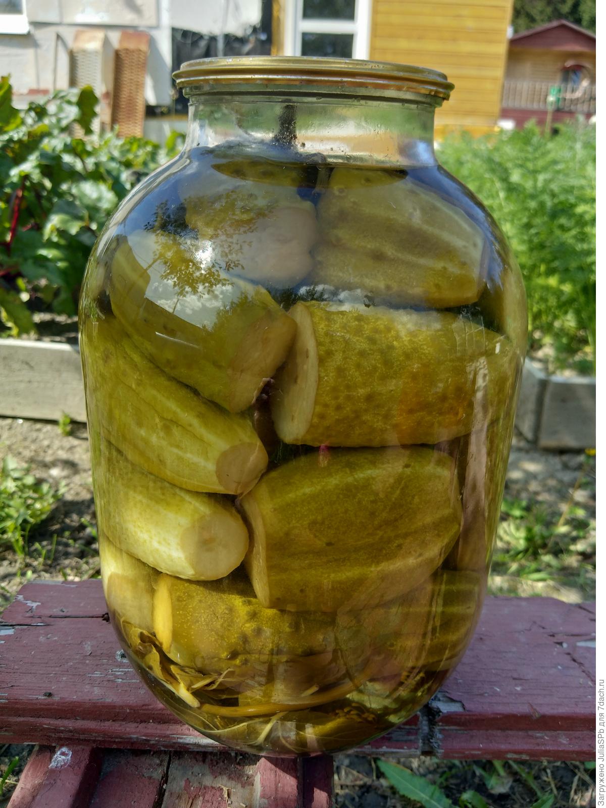 Хрустящие маринованные огурцы 