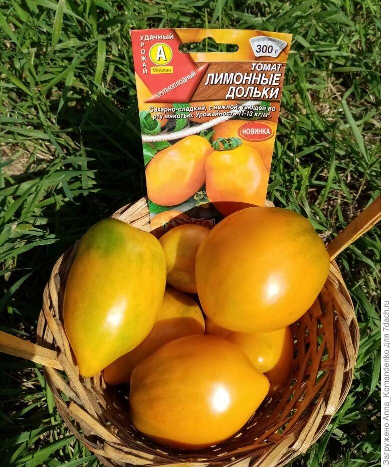 Помидоры лимонная долька. Помидоры лимонная долька. Лимонная гроздь томат. Помидоры лимонные жёлтые. Томат лимонная искорка (а).