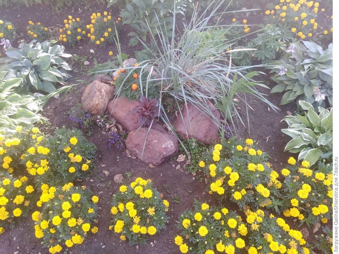 Оформление Клумбы Возле Дома Своими Руками Фото