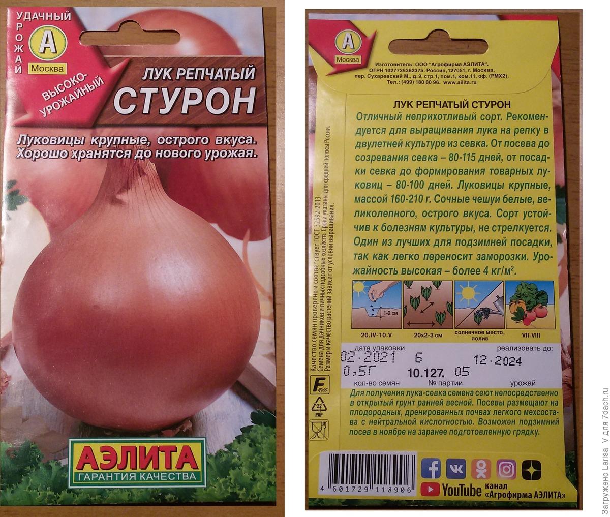 Лук Стурон Описание Сорта Фото Отзывы Цена