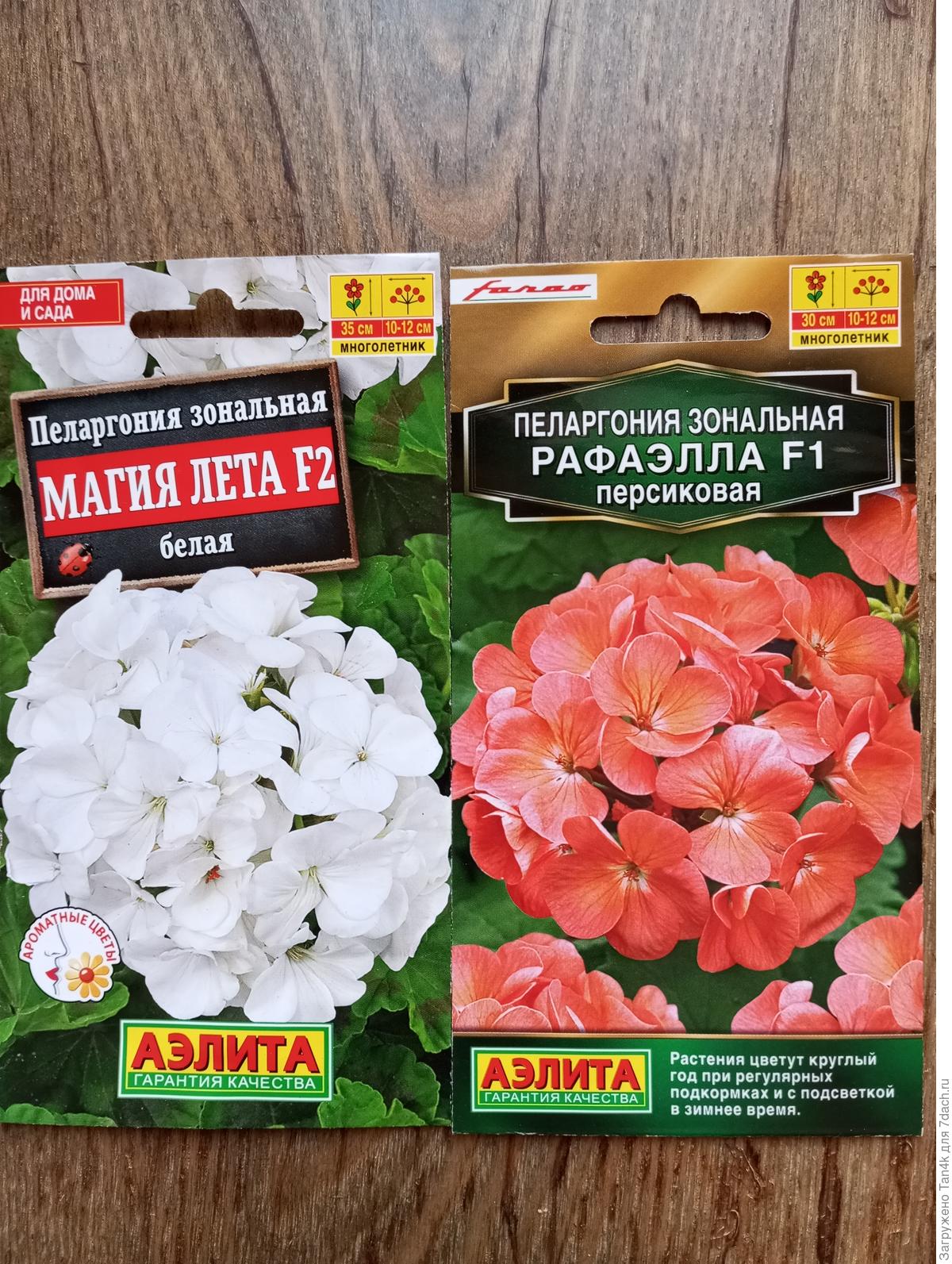 Купить Семена Пеларгонии Аэлита